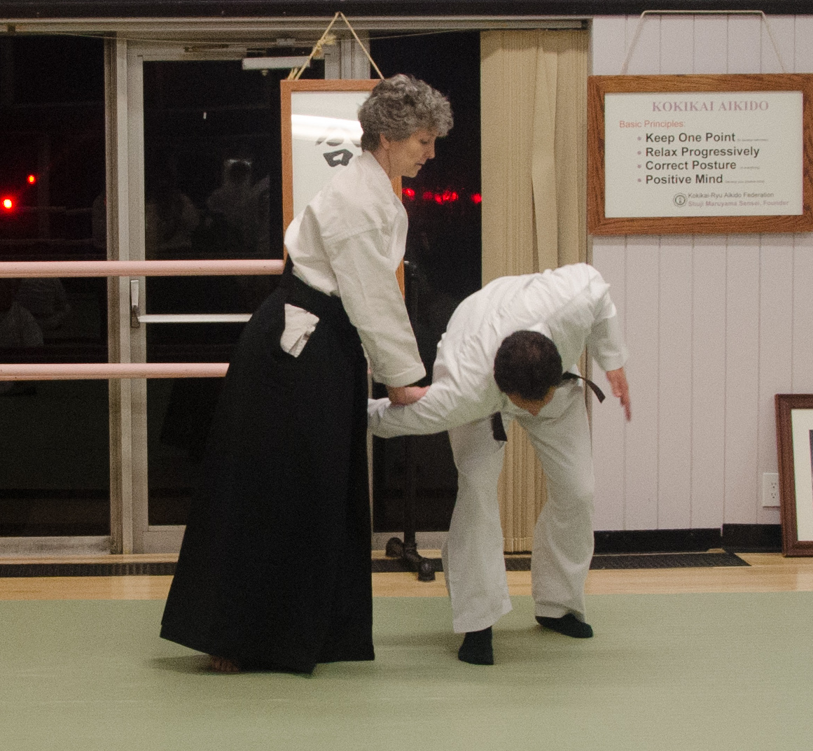 Comparing Kokikai Aikido to Other Martial Arts A Survey
