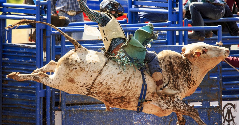 Warch International Finals Youth Rodeo Live