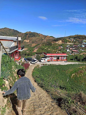 Afton Homestay Dieng Wonosobo Afton Homestay Dieng Wonosobo