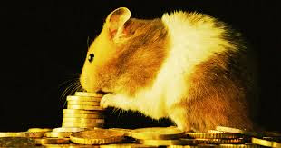 https://swellower.blogspot.com/2021/10/Crypto-trading-hamster-from-Germany-makes-higher-profits-than-most-human-financial-backers.html