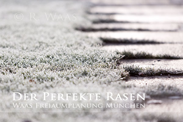 Gartenblog Geniesser-Garten : Perfekter Rasen