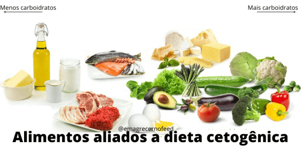 Alimentos aliados a dieta cetogênica Alimentos aliados a dieta cetogênica