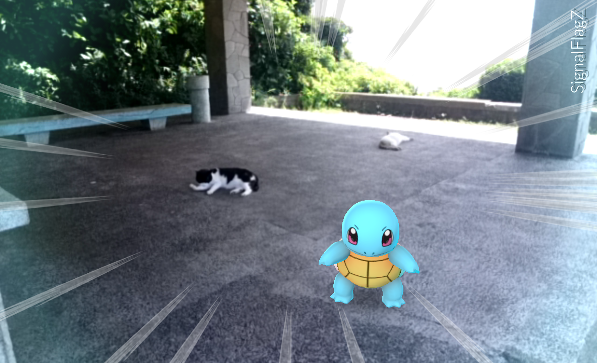 観音崎公園でまったりポケモン 猫 探し ポケモンgo