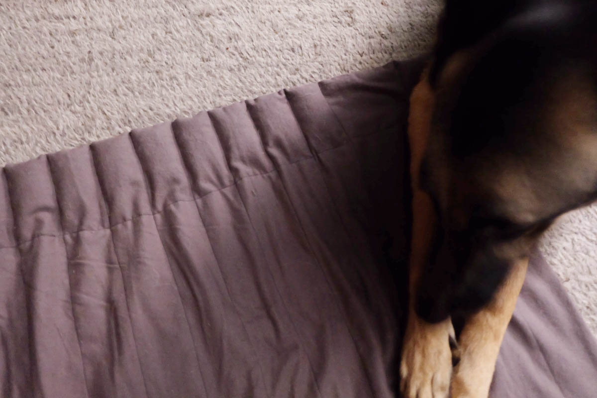 How to DIY Beeswax Wraps & Weighted Dog Blanket. Flipping the Flip