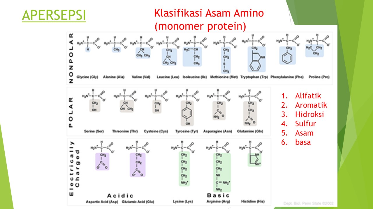 PPT Peptida dan Struktur Protein ~ KIMIA ORGANIK 2018 SMK-SMAK MAKASSAR
