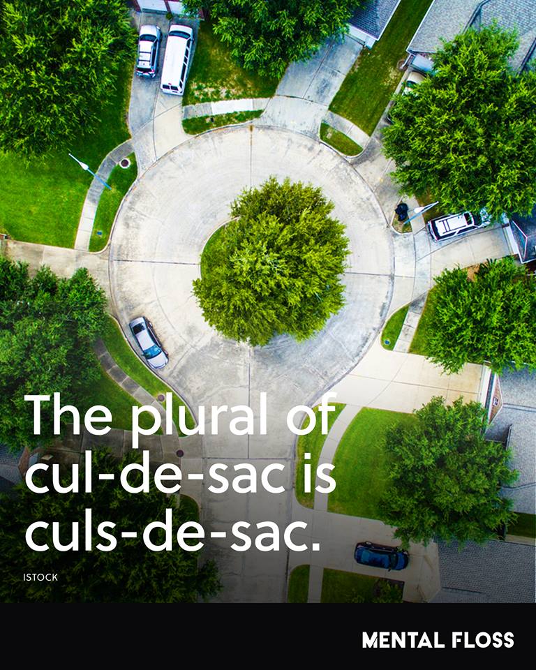 Word of the Day Culsdesac Diary of a LOW BUDGET Superhero