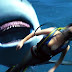 Videojuego: Maneater ►Horror Hazard◄