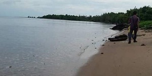 Pantai Tanjung Siamuk