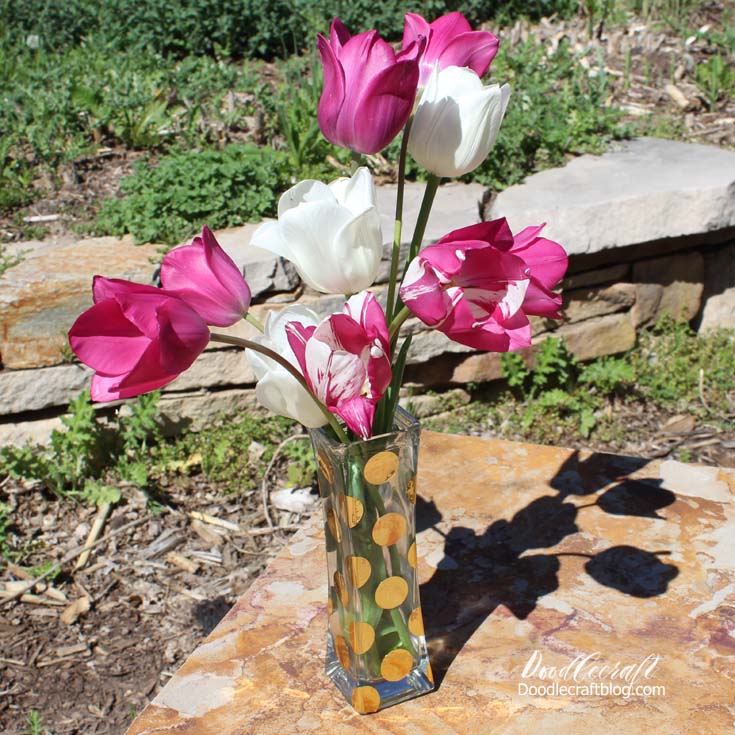 Doodlecraft Cricut Explore Air 2 Gold Polka Dot Vase DIY