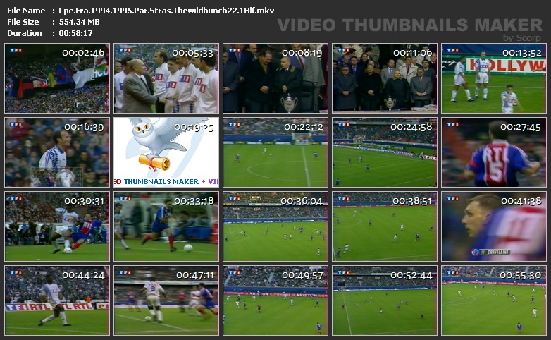 TWB22 Coupe de France 1994 1995 Paris Sg Strasbourg