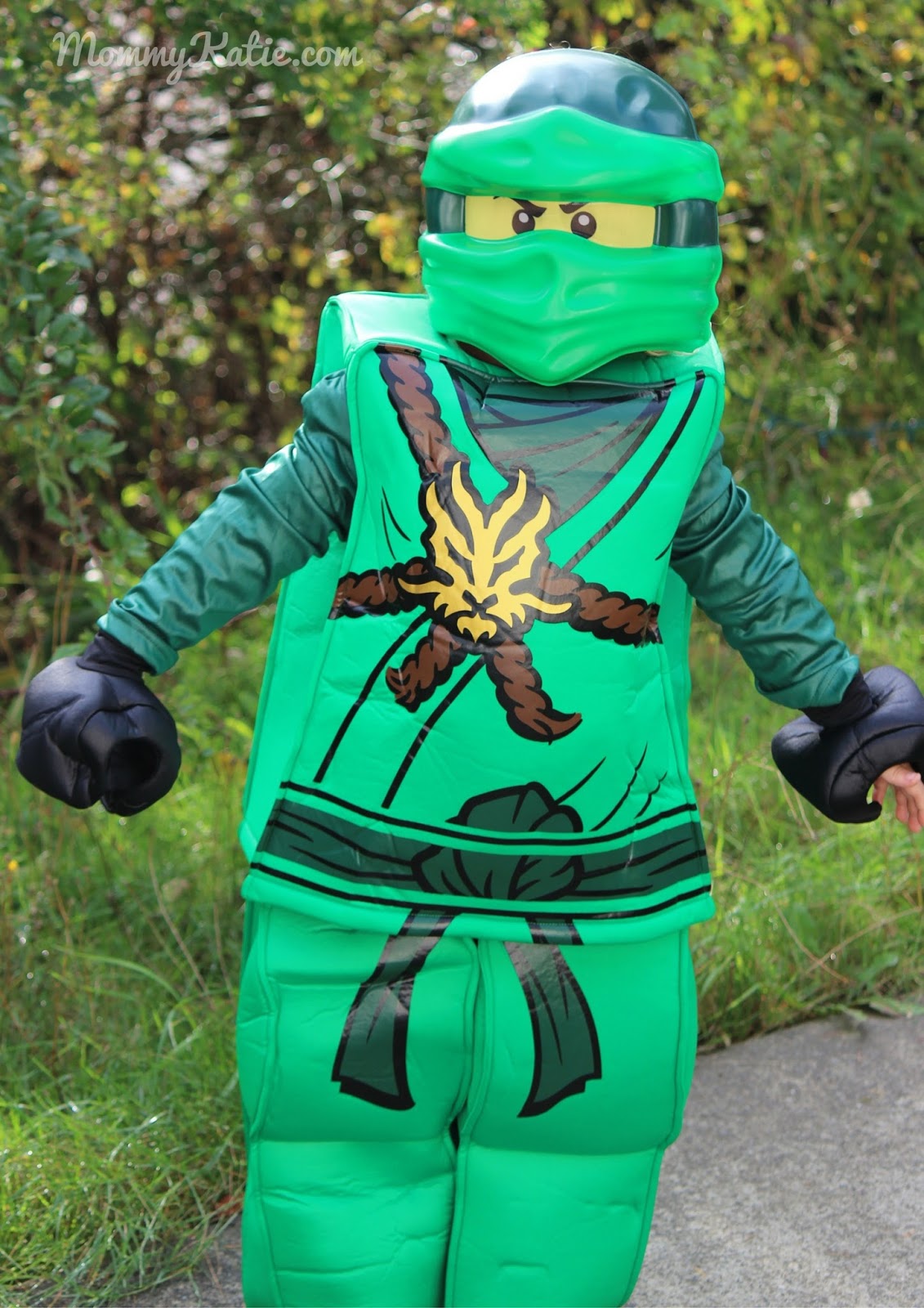Lego Ninjago Costume From Disguise Costumes Mommy Katie