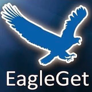 eagleget chrome extension eagleget chrome extension