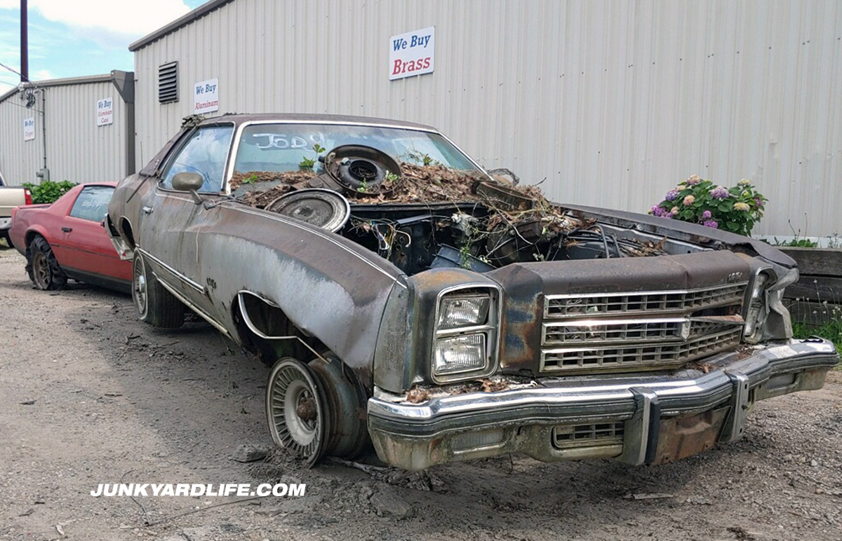 Junkyard Life Classic Cars, Muscle Cars, Barn finds, Hot rods and part