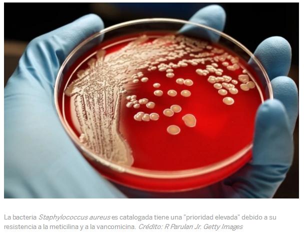 Cuáles son  las bacterias más peligrosas del mundo