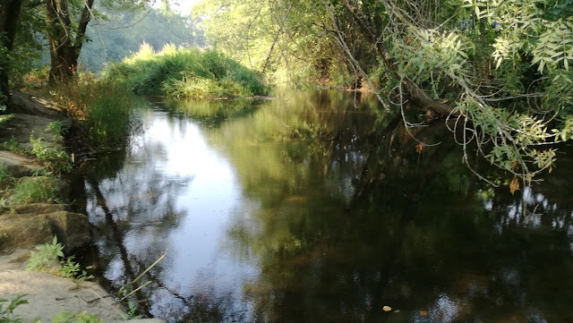 Piscina Fluvial da Moleira