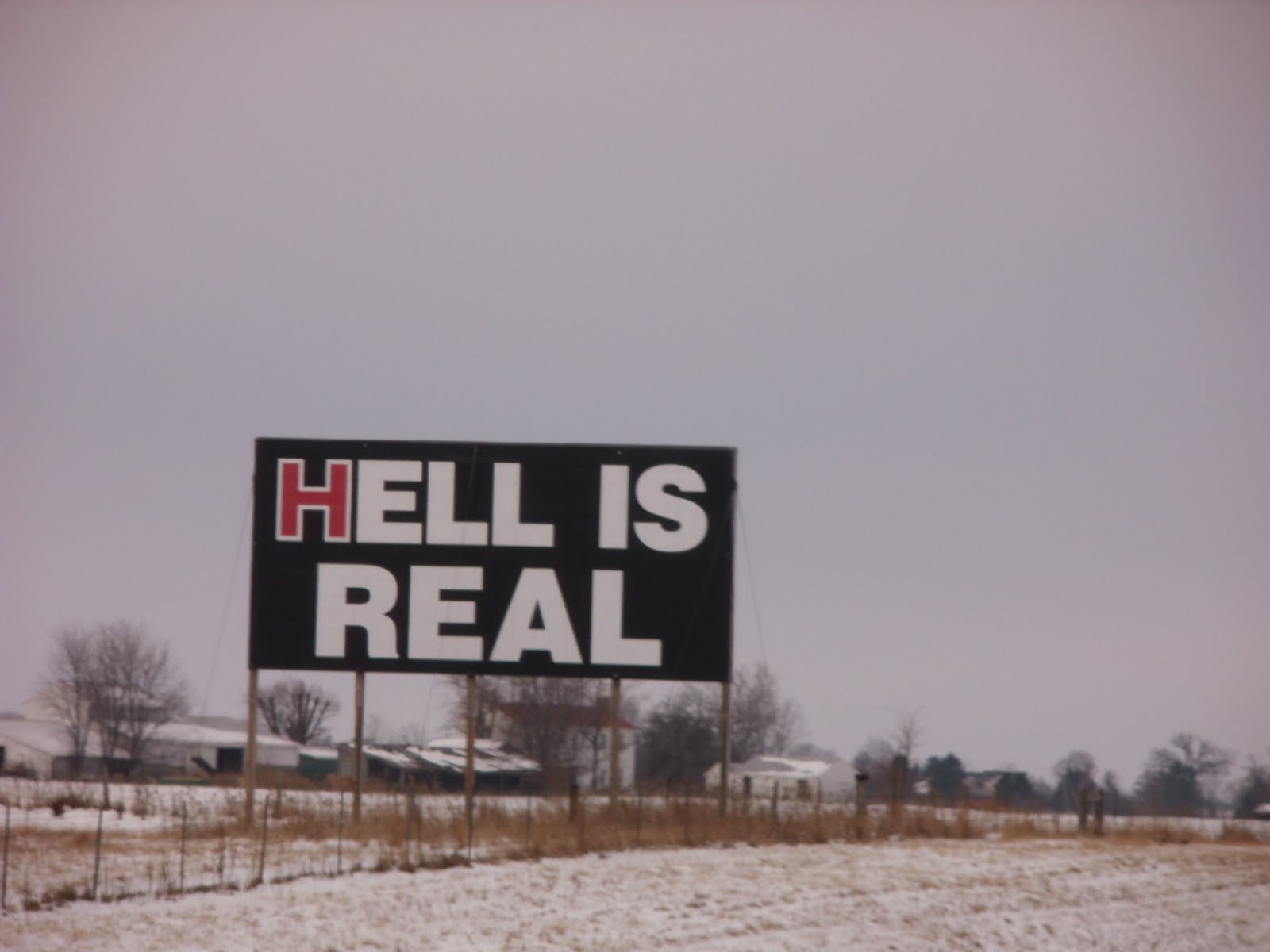 Browsing Through Books The Bible Belt