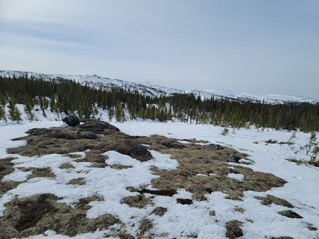 Sur le massif des monts Groulx près du mont Jauffret