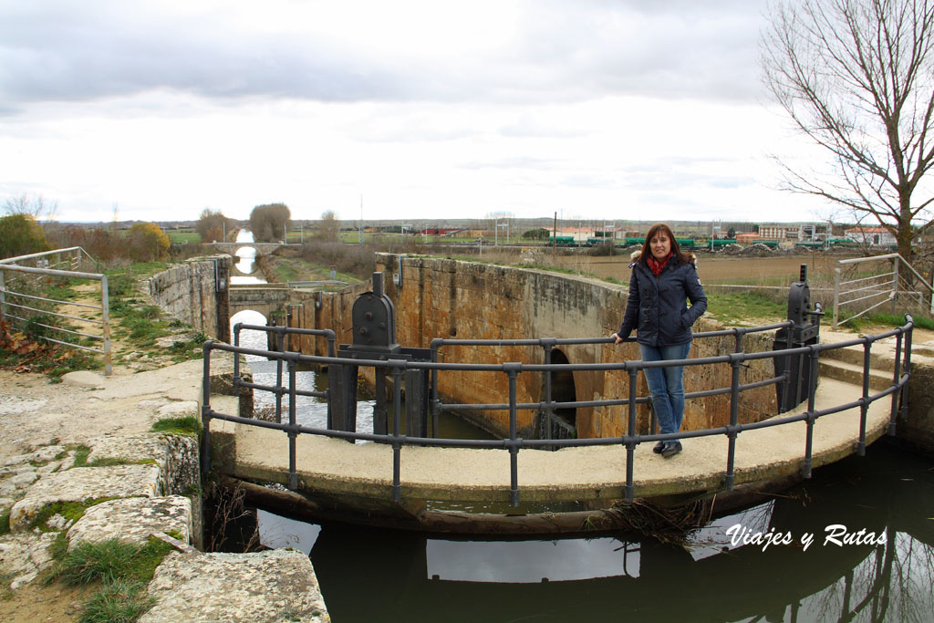 Canal de Castilla, Frómista