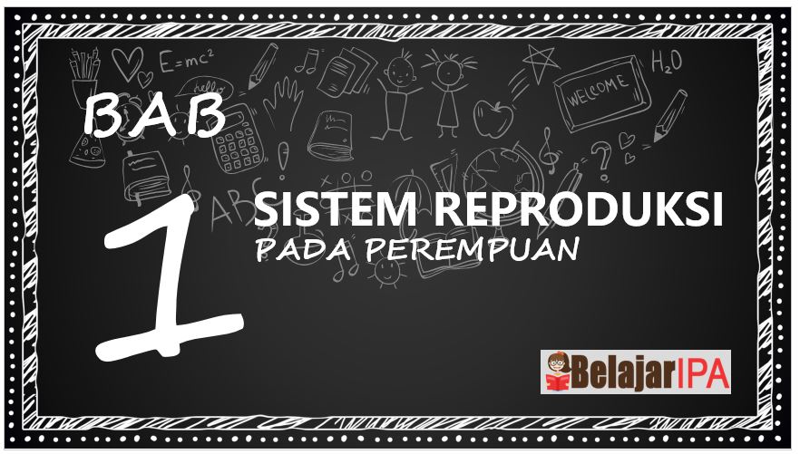 Ringkasan Ipa Kelas 9 Bab 1 Sistem Reproduksi Pada Perempuan Belajar Ipa