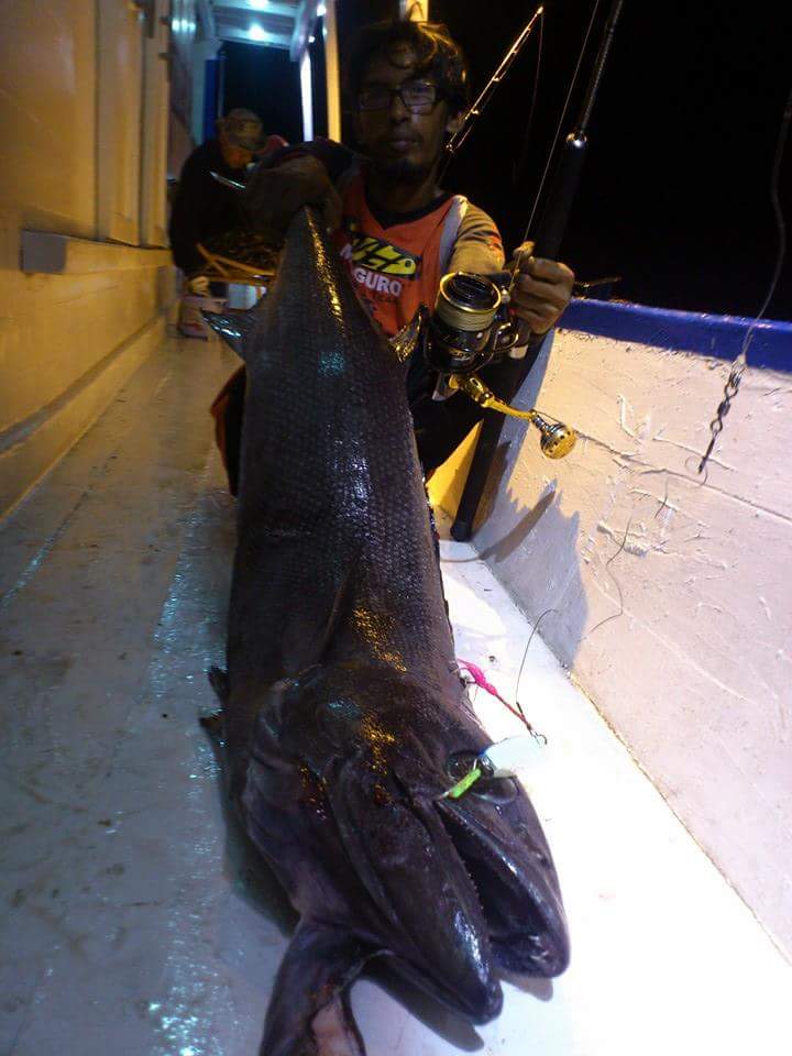 Umpan Ikan Karang Laut Umpan Jitu Anti Boncos Untuk Mancing Di Laut Strike Ikan Karang Mancing Pinggiran Youtube Jevt Online