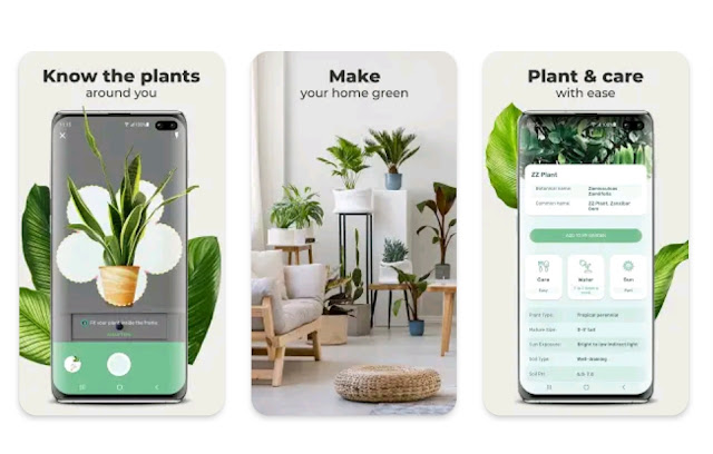 Plant identification app