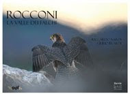 Rocconi - La valle dei falchi