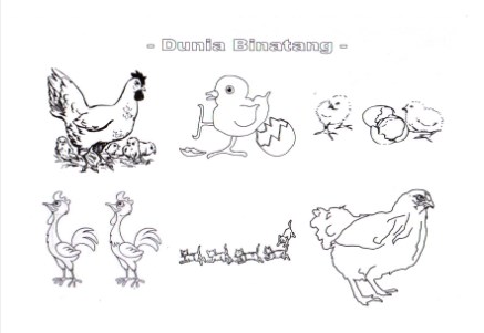 Gambar Hewan Berkaki 2 Terbaru Untuk Anak