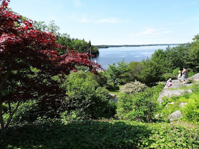 nationaldagen+(14) - Bilder från en Nationaldag