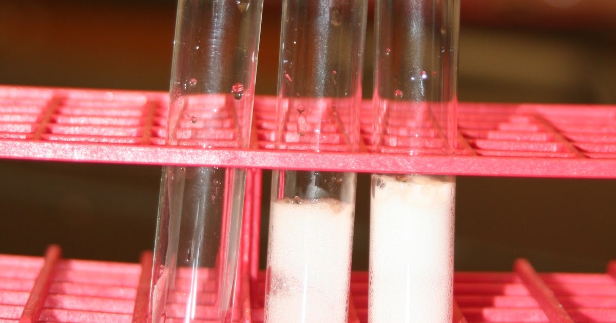 Practical Biology: science for everyone: Easy Enzyme Experiment: Potato