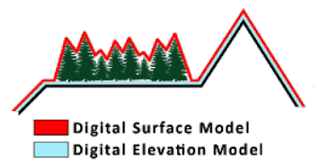DEM vs DSM