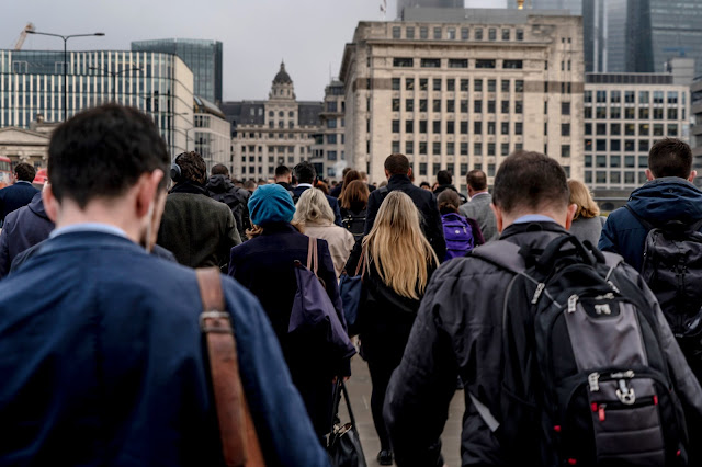 Die 59 Besten Bilder Zu Lustige Pferde In 2020 Lustige Pferde