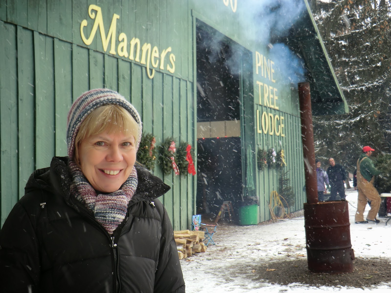 A View from the North Coast Christmas Tree at Manners Tree Farm, New