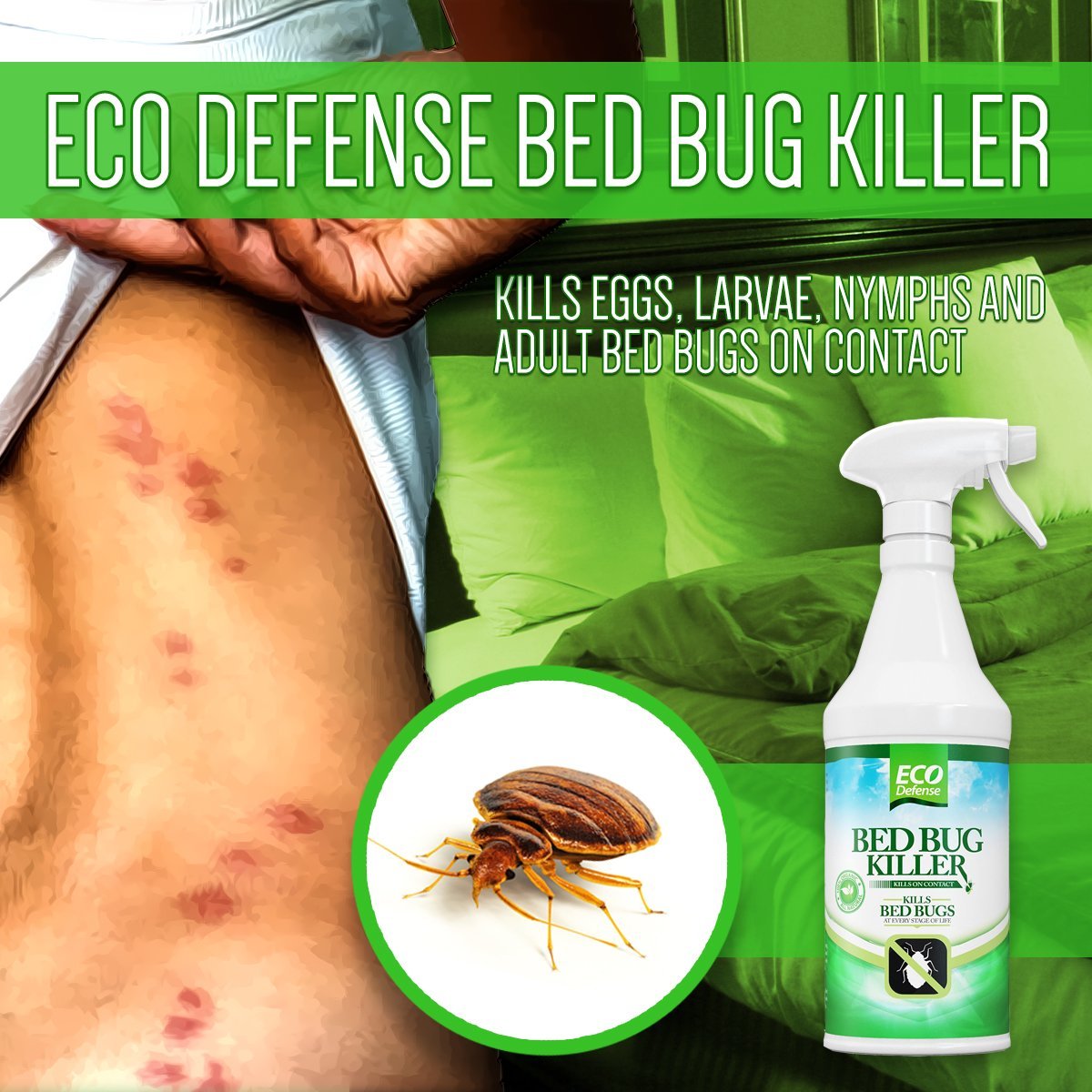 The Aries Man Chronicles Bed Bug Killer by Eco Defense Review ecodefense