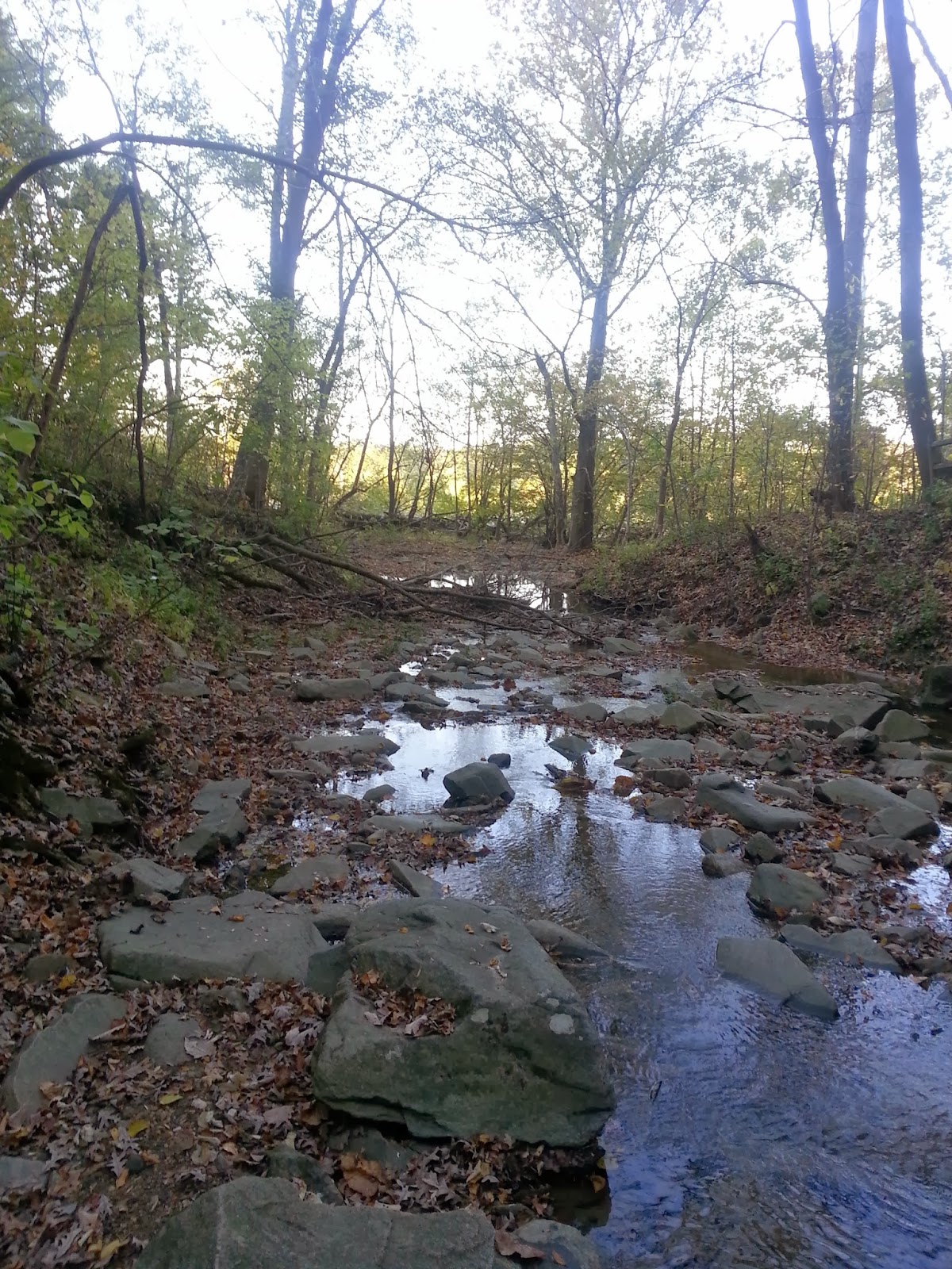 Ben's Journal Trail Running Turkey Run Loop