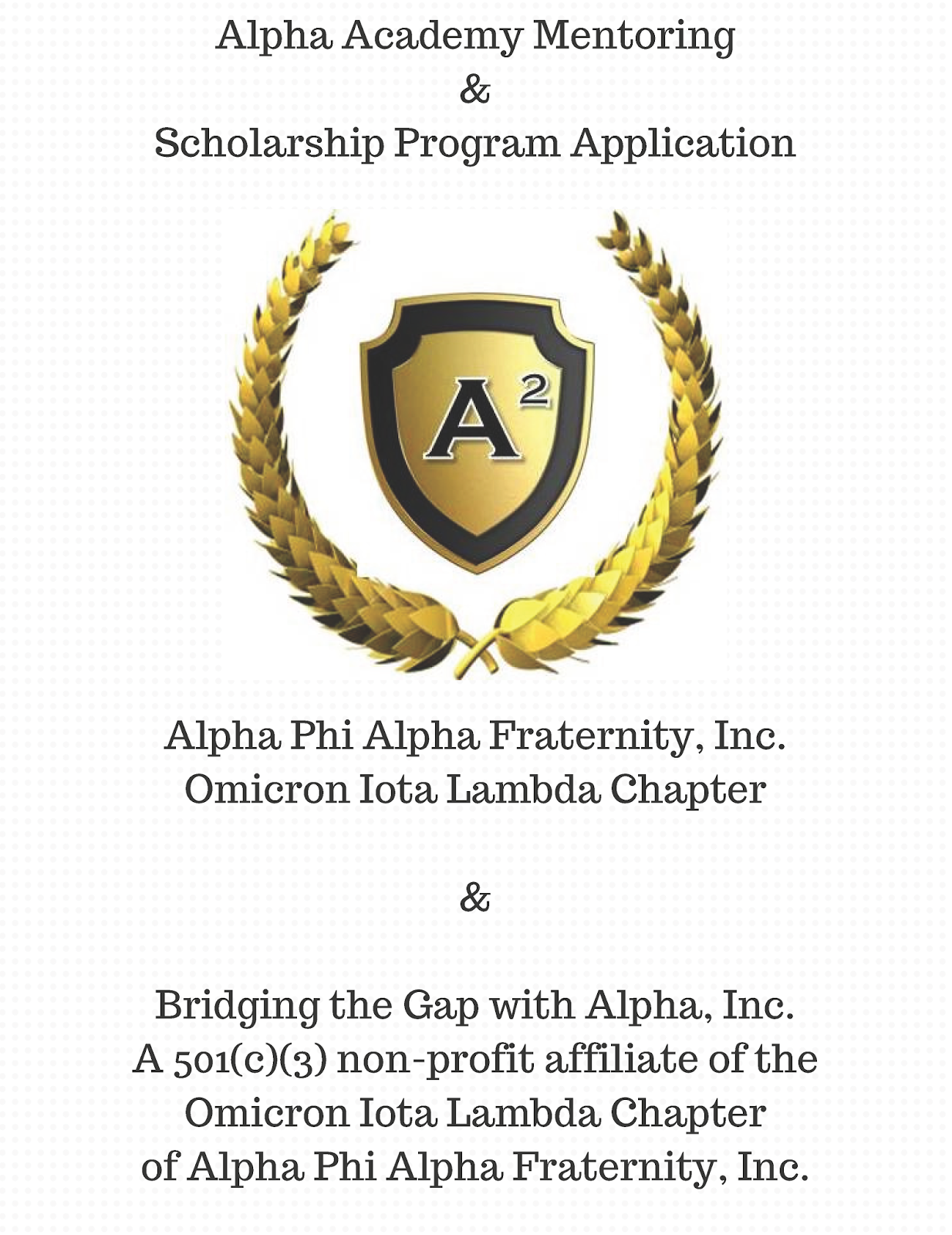 viking-update-alpha-academy-mentoring-scholarship-program
