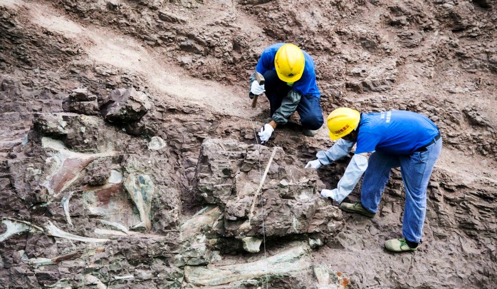Giant Dinosaur ‘Fossil Wall’ Discovered in China