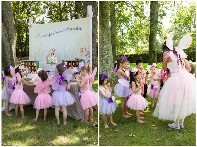 Bella Cupcakes: Isabella's Enchanted Fairy Party