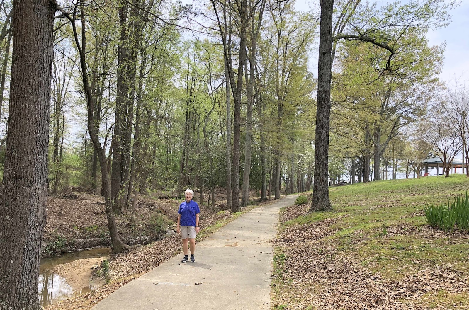 Wandering His Wonders Destination Red Bay, Alabama