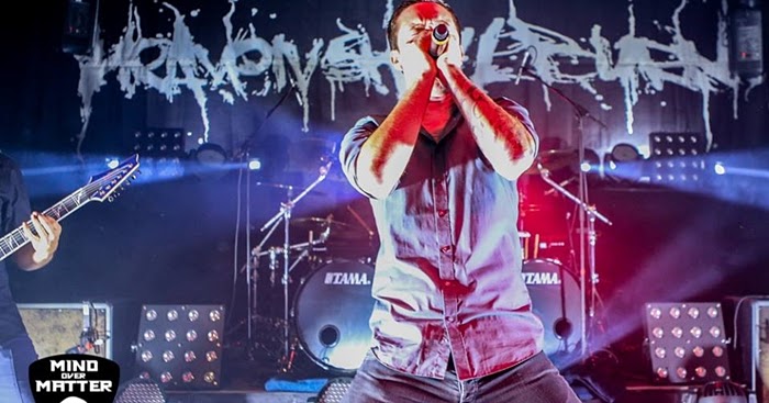 87 Entgrenzer Die Sich Wie 12 6 Afd Benehmen Deus Ex Machina