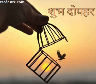 Good afternoon in Hindi Images for Social media Good afternoon in Hindi Images for Social media