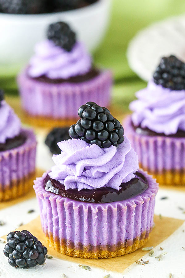 Mini Blackberry Lavender Cheesecakes Best Recipes