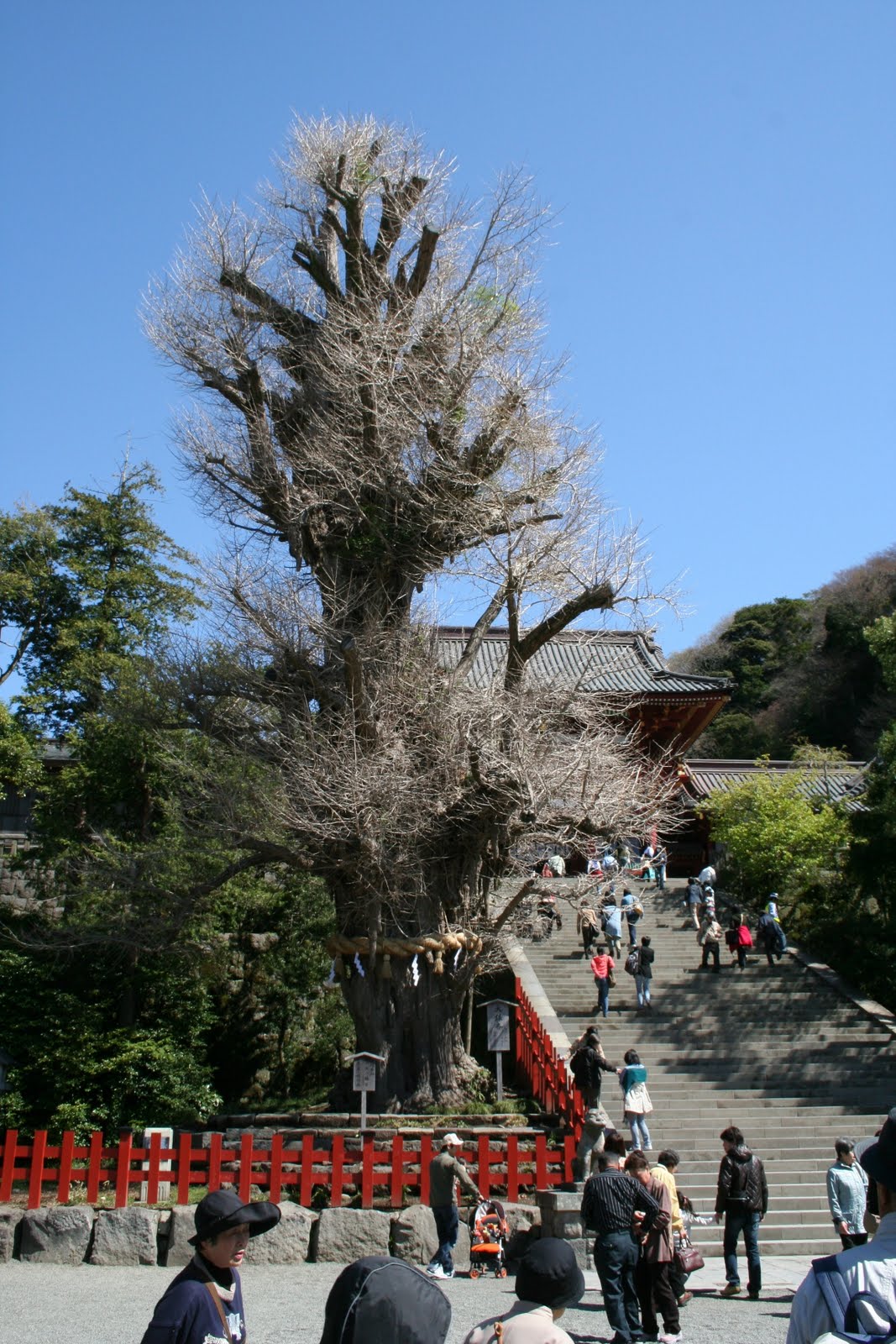 En route vers le Japon #6 Kamakura, deuxième partie