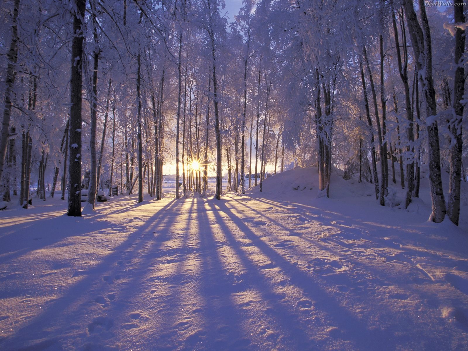http://1.bp.blogspot.com/-8EOKqZWXOu8/TsW7Vp0hLsI/AAAAAAAAALA/BF4dPOdBeAI/s1600/winter-sunset-alaska.jpg