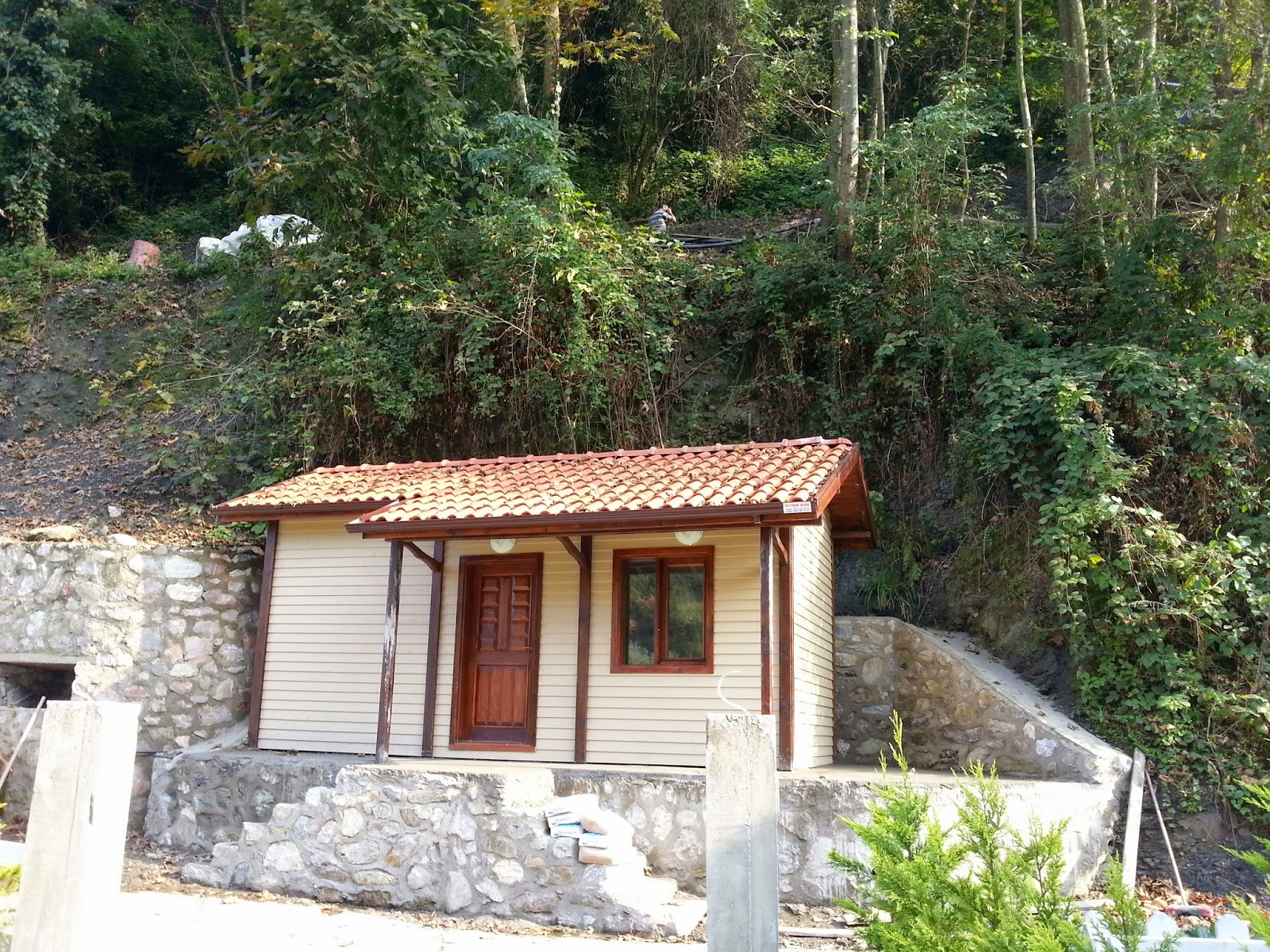 Murat Mesut: Ekim 2014