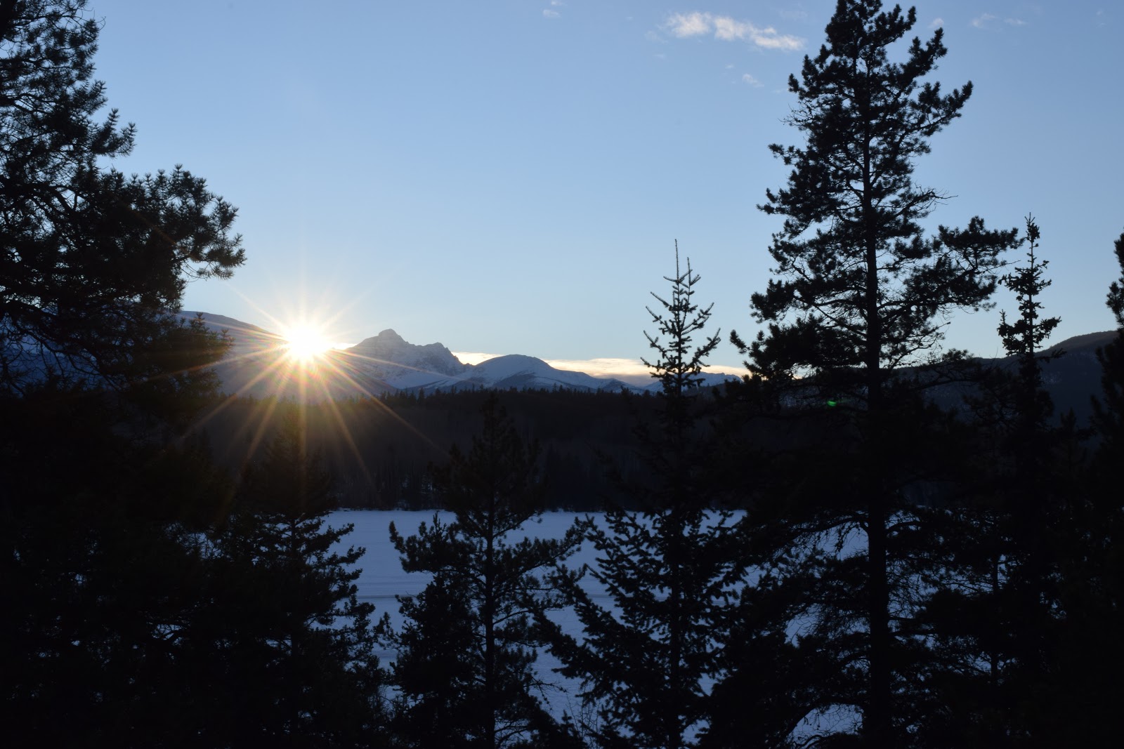 15 Things to Do in Edmonton in Winter Fat Biking, Ice Castles and Much More Travelling Weasels