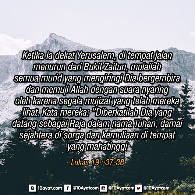 Lukas%2B19%2B %2B37 38