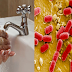 Warning: Study Claims That Frequent Usage Of Antibacterial Soap Causes Kanser