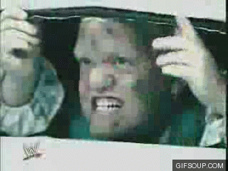 hornswoggle-minitron-o.gif