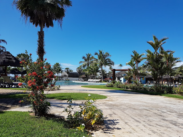 Sendo VEGANA em um resort ALL INCLUSIVE | IBEROSTAR BAHIA 🌴