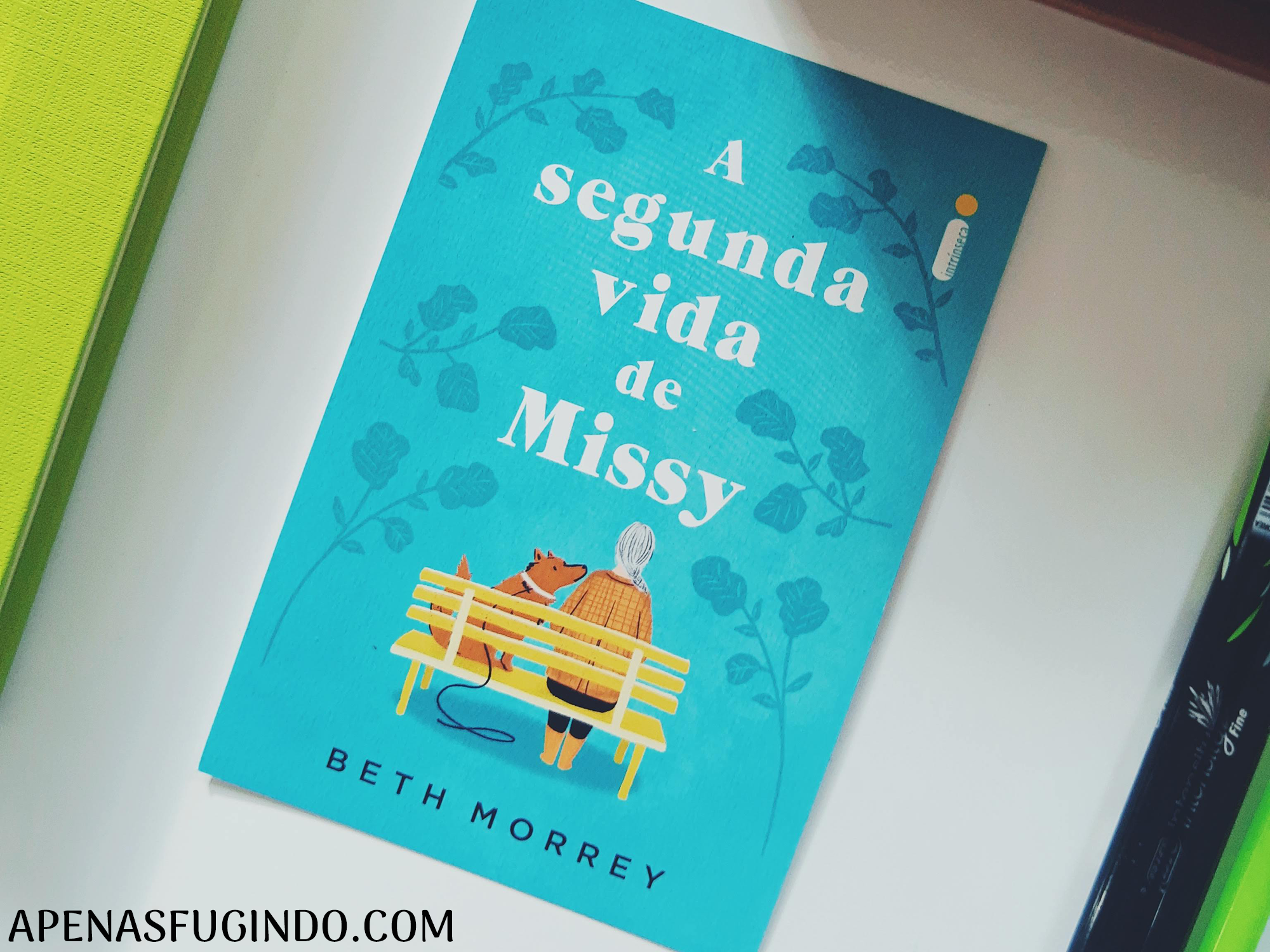 A segunda vida de missy intrínsecos